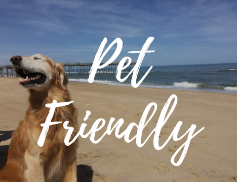  Pet Friendly Rentals