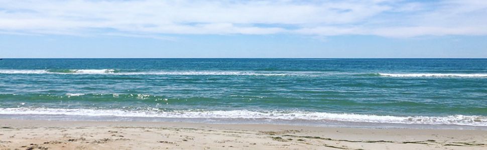 Hatteras Island Summer Beach Reads Hatteras Island Summer Beach Reads