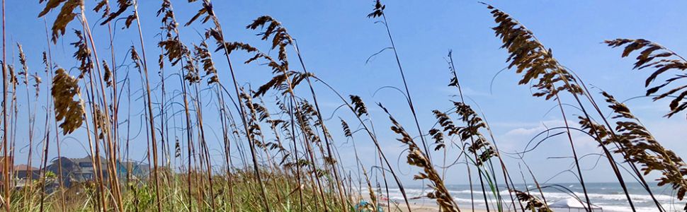 Free Things to do on Hatteras Island