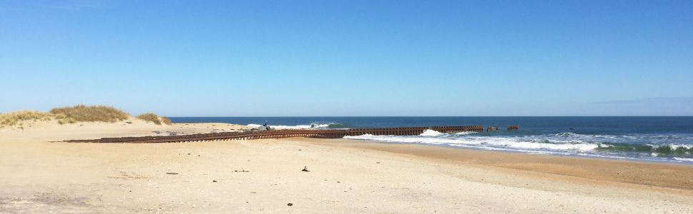 1st Jetty, January 2016
