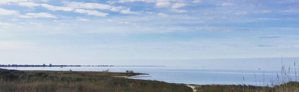 Pamlico Sound from Highway 12 in Hatteras Village