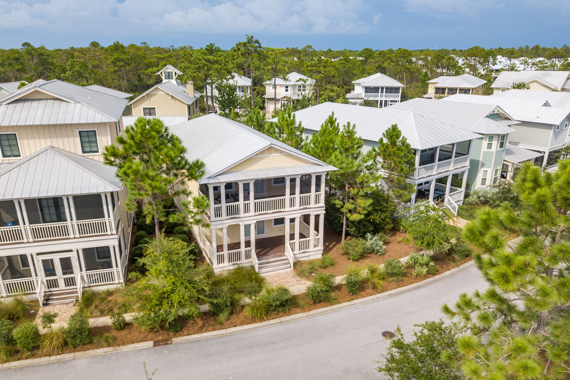 Cinnamon Fern Seagrove Beach